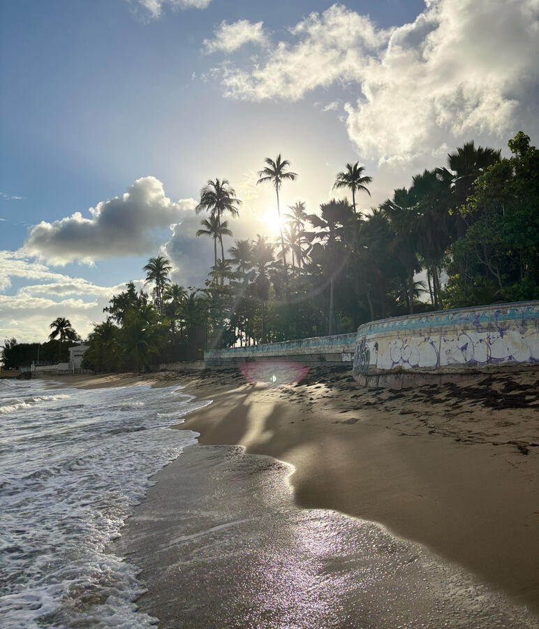 Sunny San Juan!